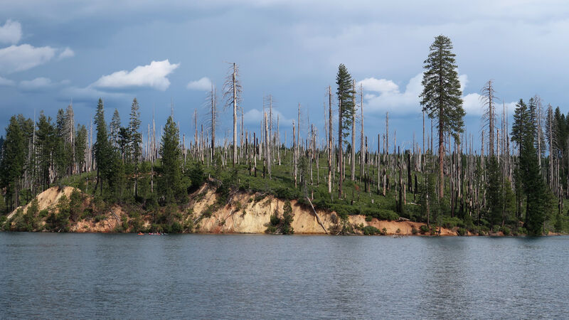 IMG_4763.jpg