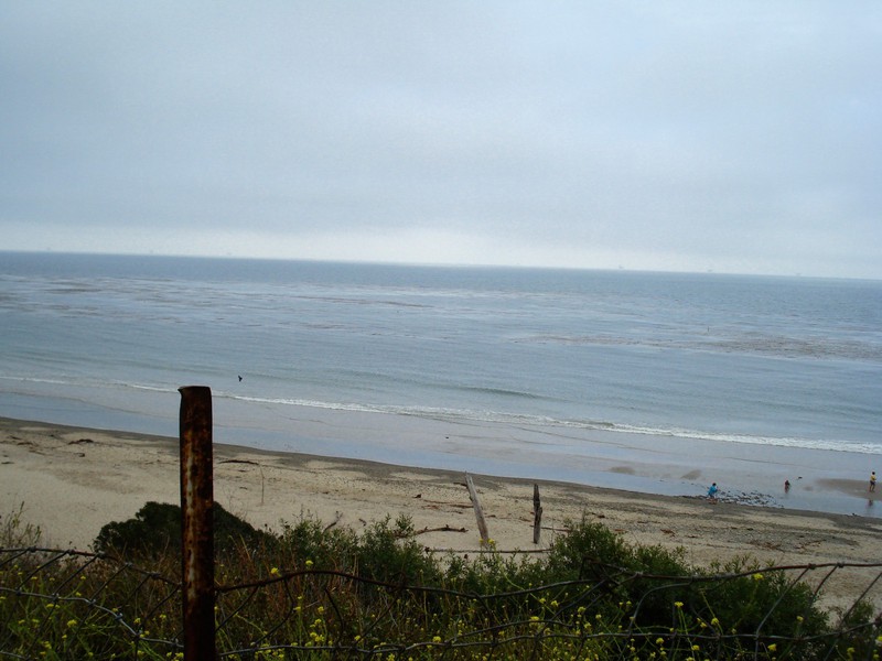 beach-fence.jpg