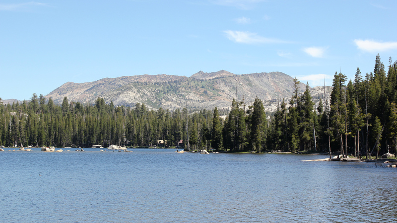 IMG_2422.jpg
