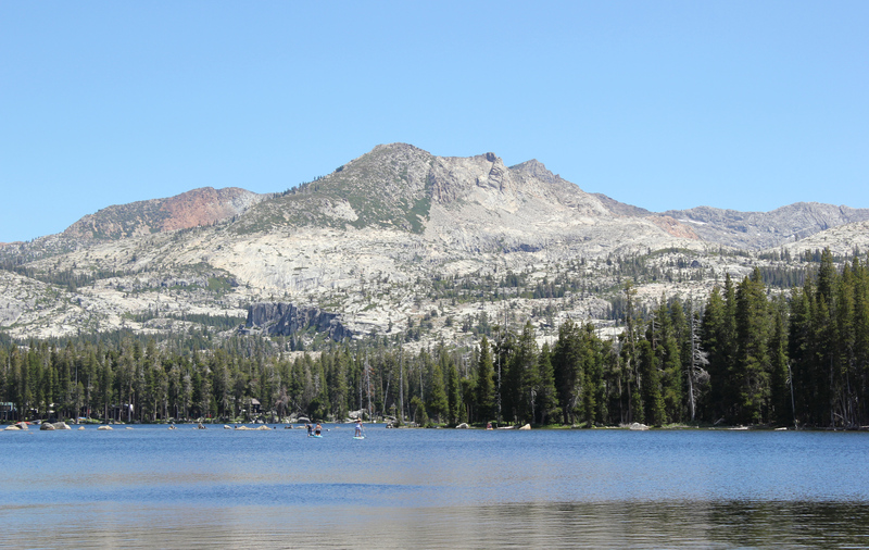 IMG_2473.jpg