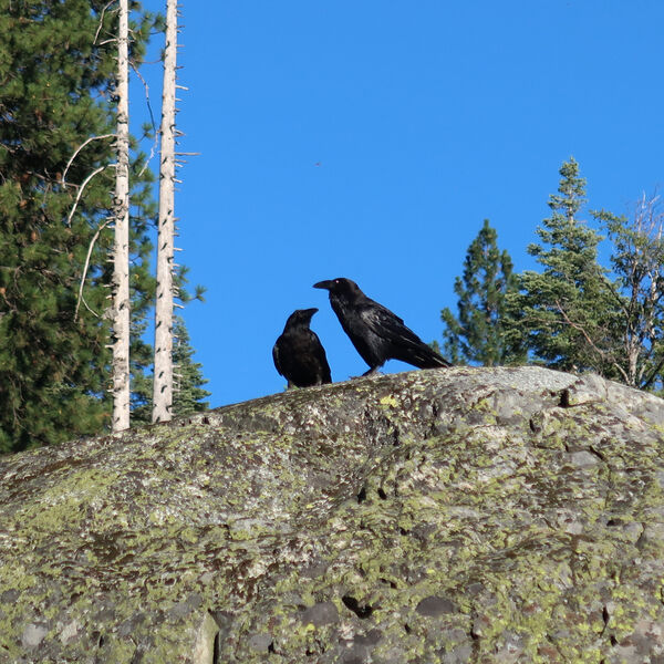 IMG_4856.jpg