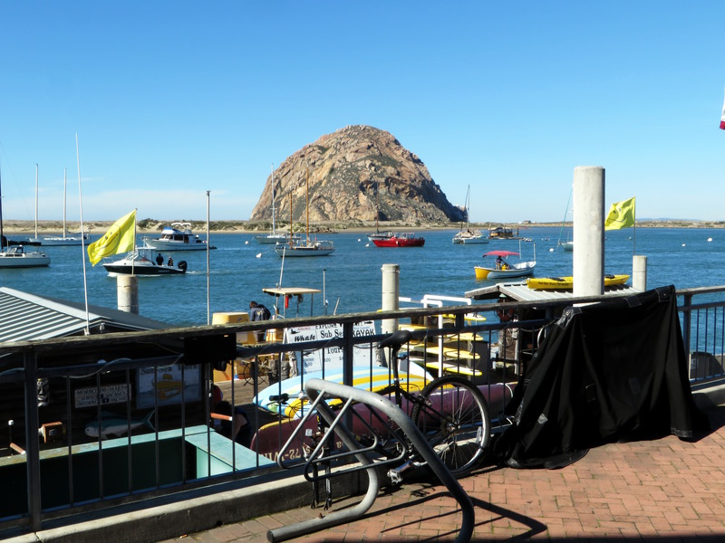 IMG_5432-slo.jpg