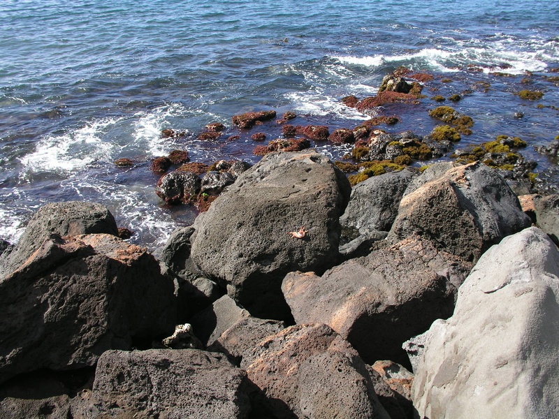 crab-rocks.jpg