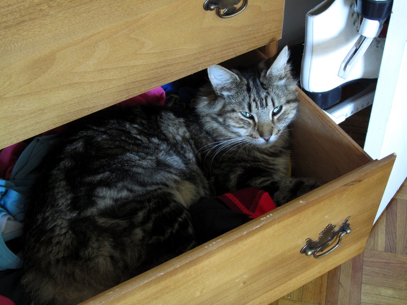 IMG_0964-in-drawer.jpg