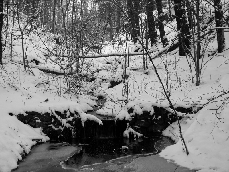 waterfall-bw-closer.jpg