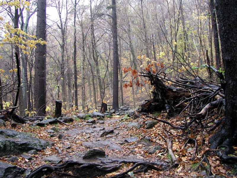 monadnock-near-white-dot.jpg