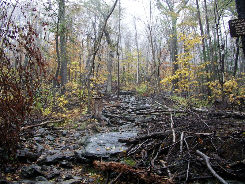 monadnock-white-dot.jpg