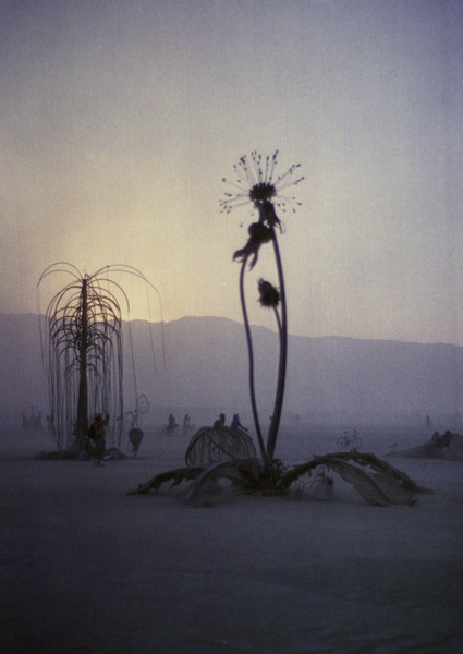 Burning-Man-2010--Film-(8-of-18).jpg