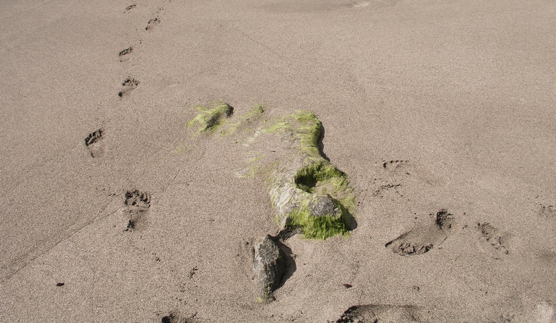 tracks-on-a-beach.jpg