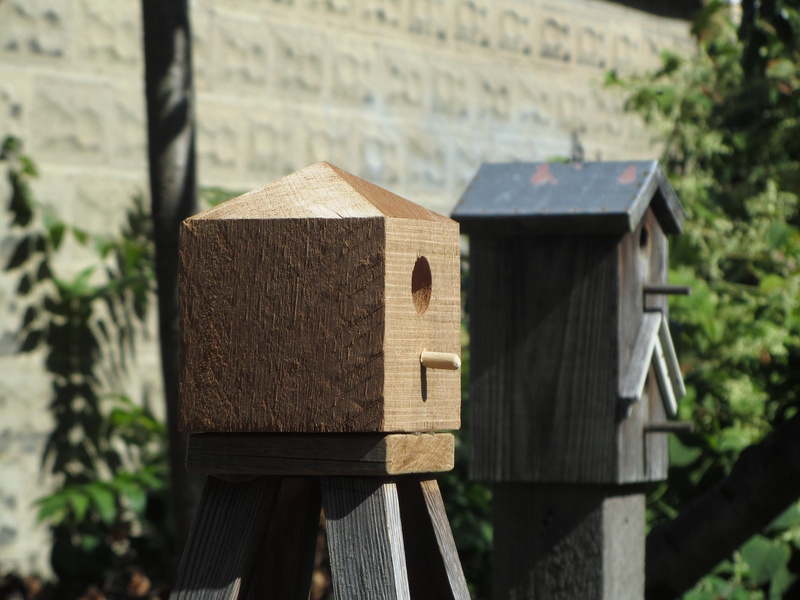 IMG_0374-bird-houses.jpg