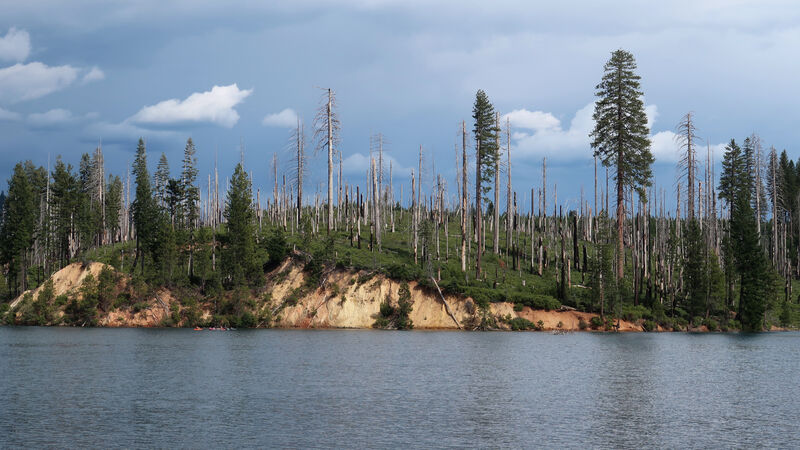 16:9-stumpy-meadows.jpg